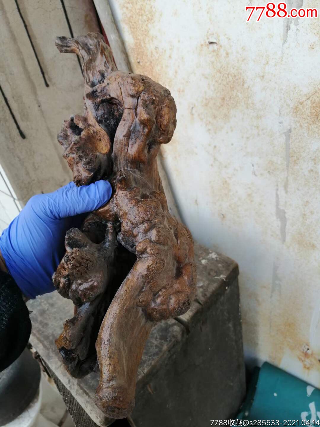 树雕_其他根雕/木雕_第3张_7788奇石收藏