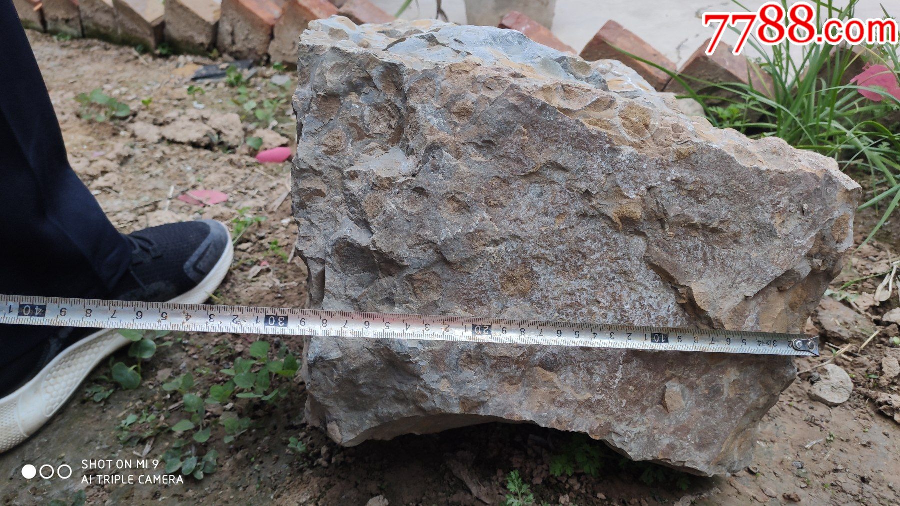 奇石;原生观赏石天然石头晋南特有石种"金钱石"又名"富贵石"一块重约