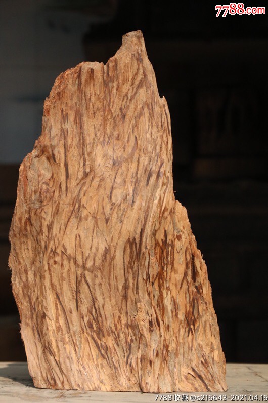 沉香木是一种木材,香料和中药,沉香木是珍贵的香料,被用作燃烧熏香