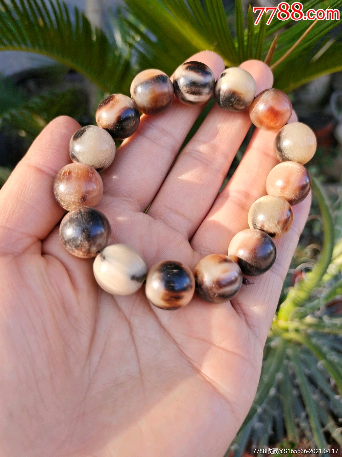 牦牛角手串135厘米1718厘米2厘米清仓多省包邮