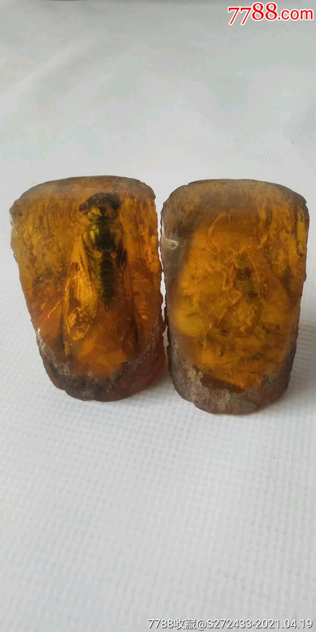 天然琥珀保存完整品相如图