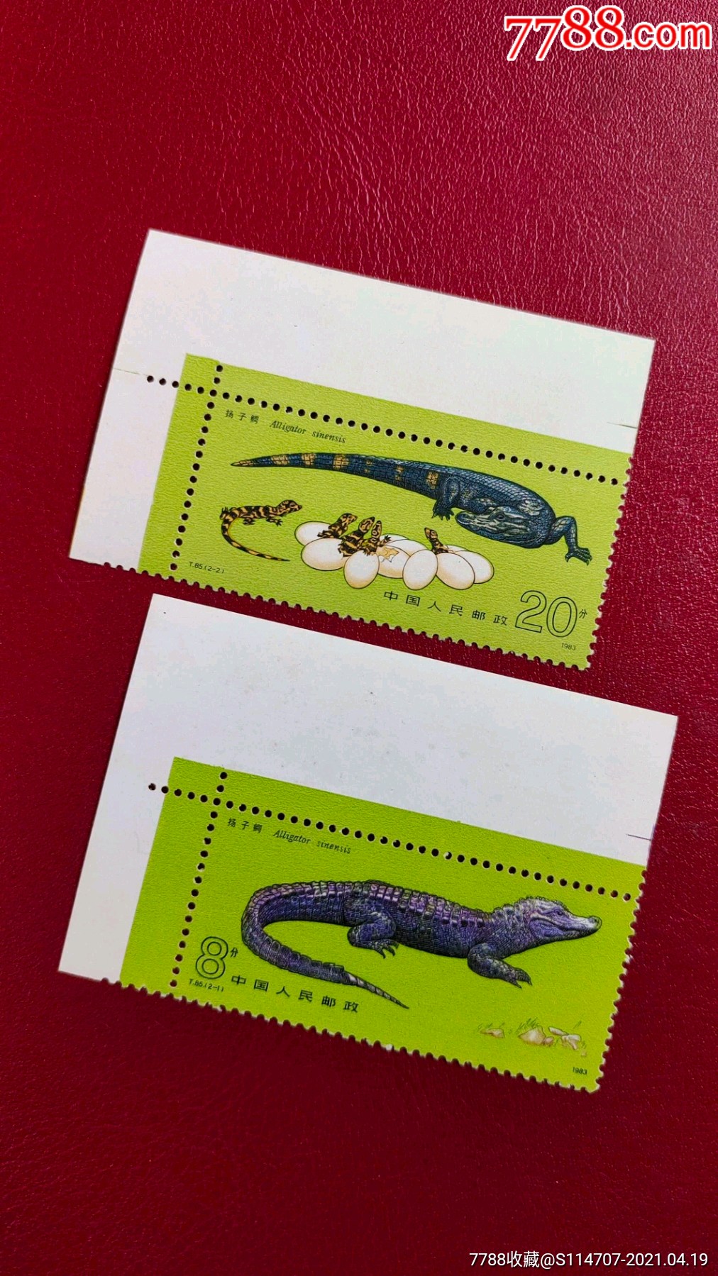 t85扬子鳄邮票(爬行动物套票)鳄鱼邮票雕刻版超精美-新中国邮票-7788