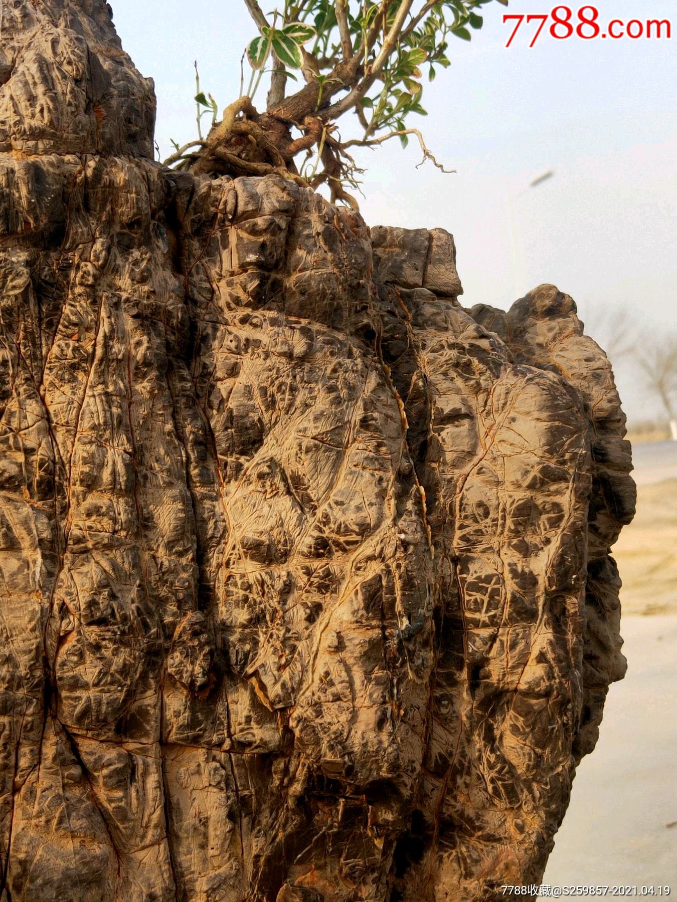 天然老风化赏石