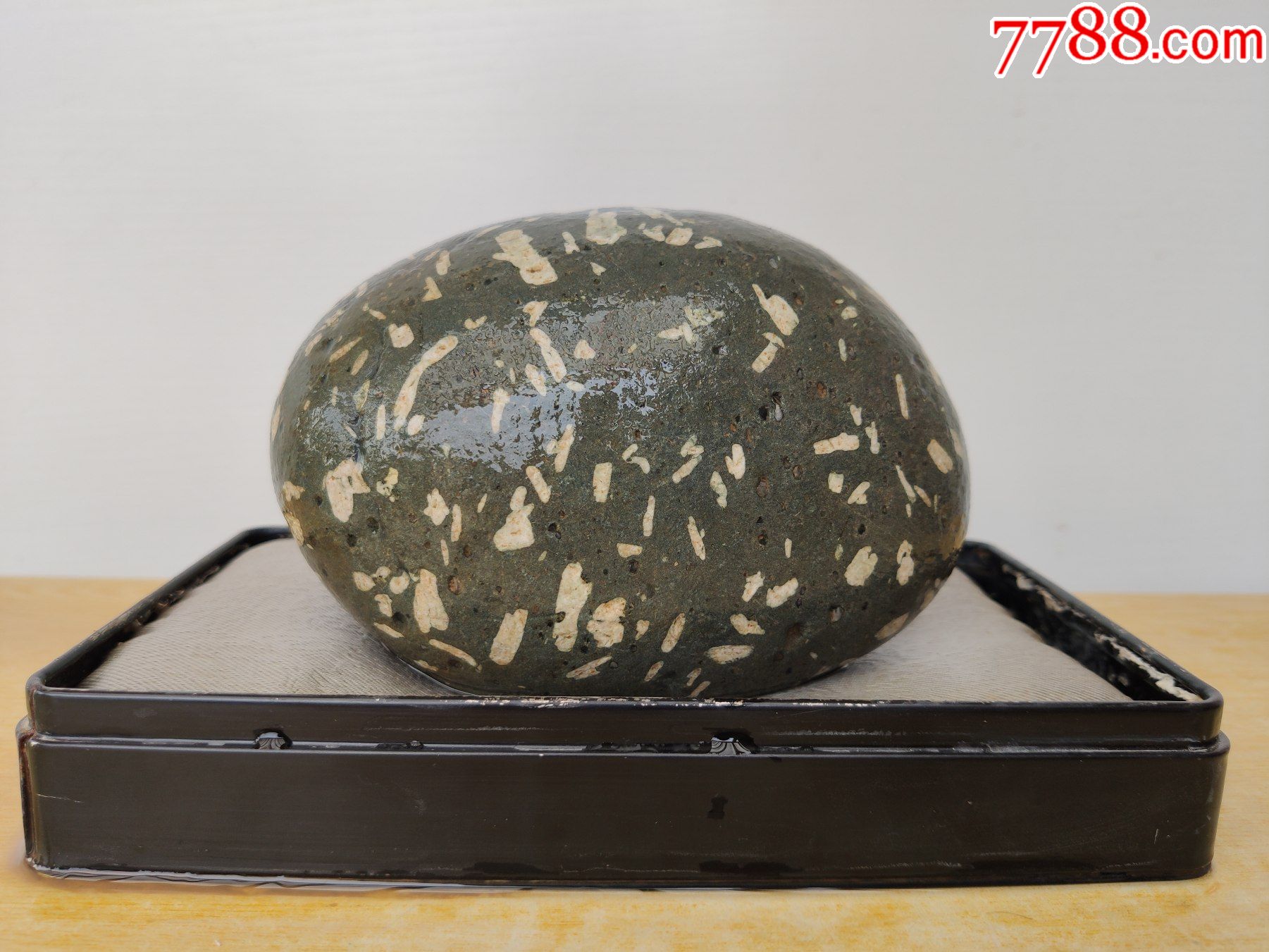 新进洛阳梅花石原石1739菊花蛋花型好石型好磁性强养生保健效果好