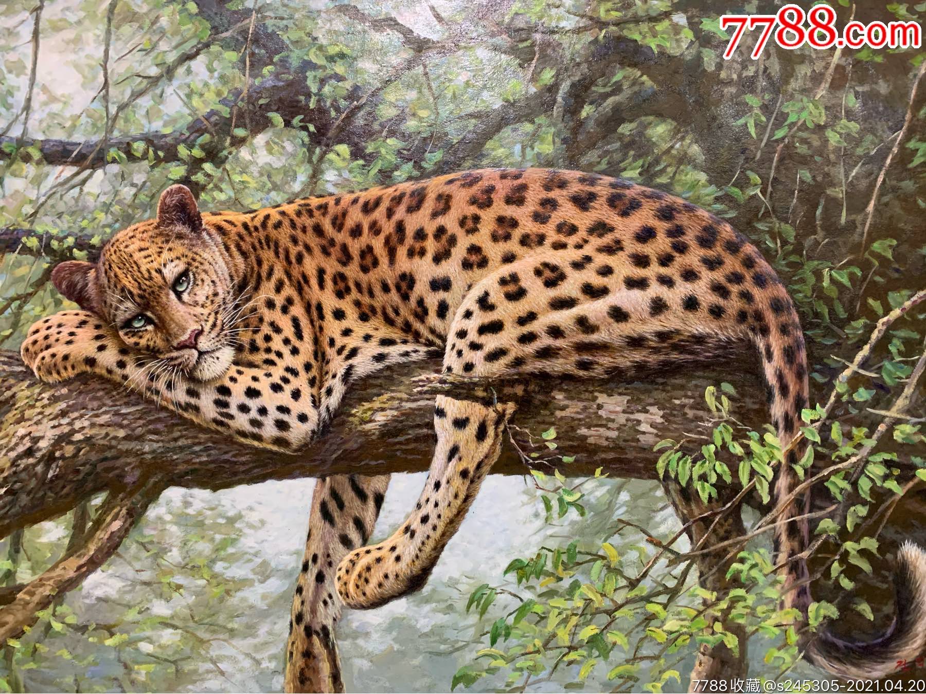 油画动物豹朝鲜功勋艺术家卢云峰