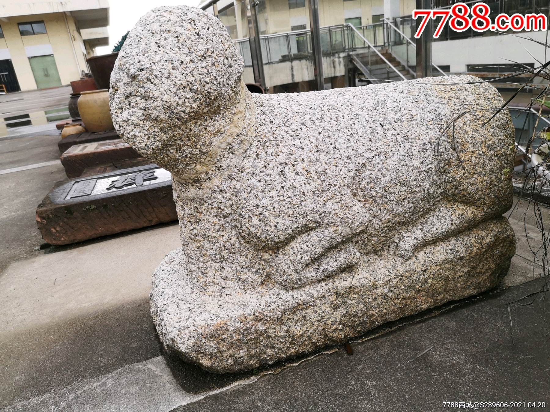 明代麻石老羊单只