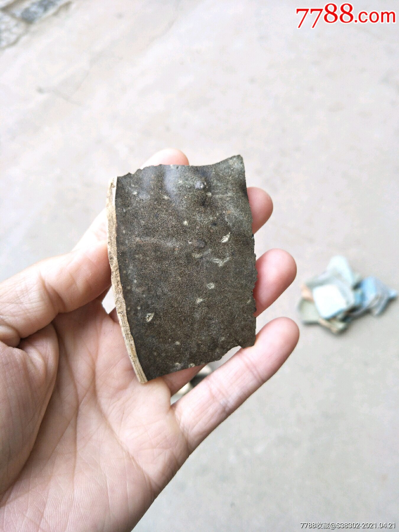 宋元缁素瓷瓷片残片临清运河古玩店万枚瓷片标本馆