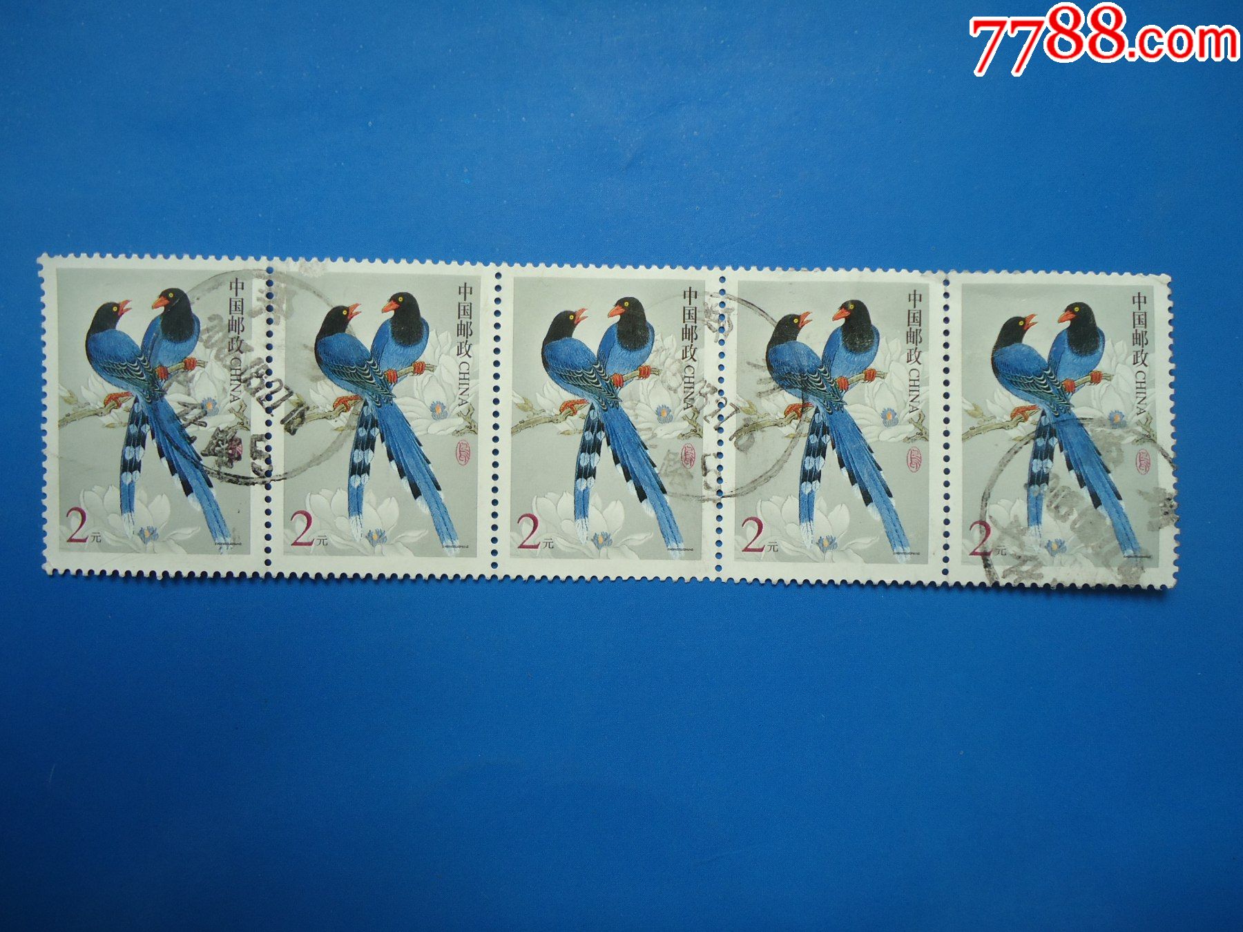 普31《中国鸟—蓝鹊》5连票,盖:郑州文化路邮戳_新中国邮票_百姓乐集