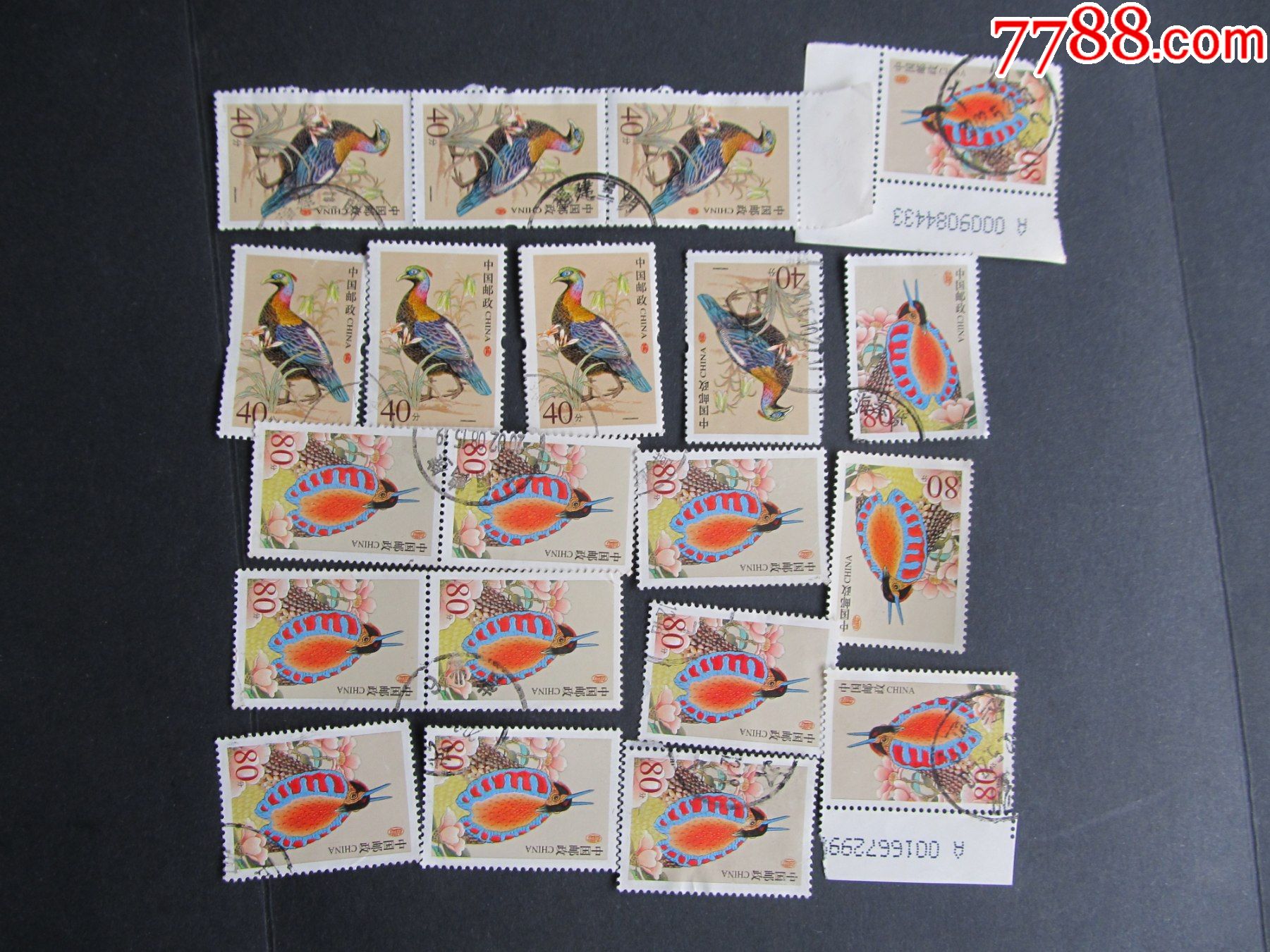 r31(普31)中国鸟_新中国邮票_第2张_7788瓷器