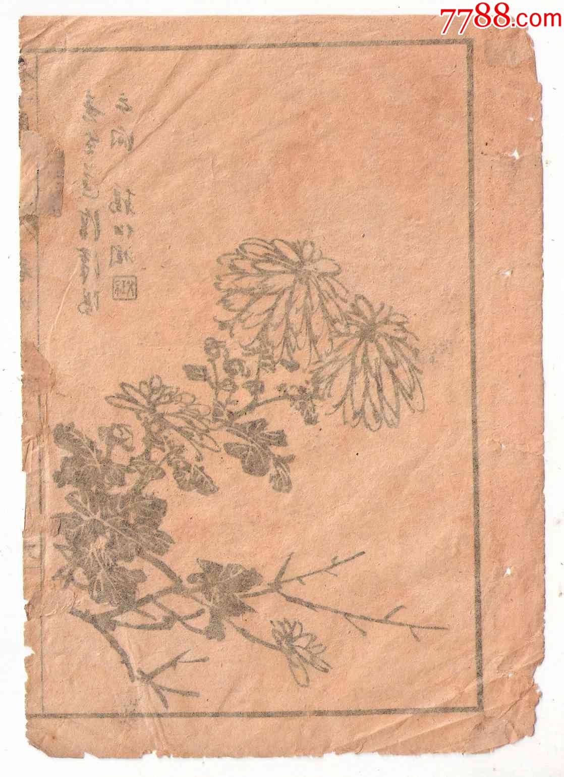 清代木刻菊花圖譜散頁