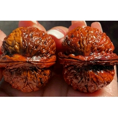 七彩粗筋铁球高37肚37边34一对重41克多皮色好铁果天然宝贝