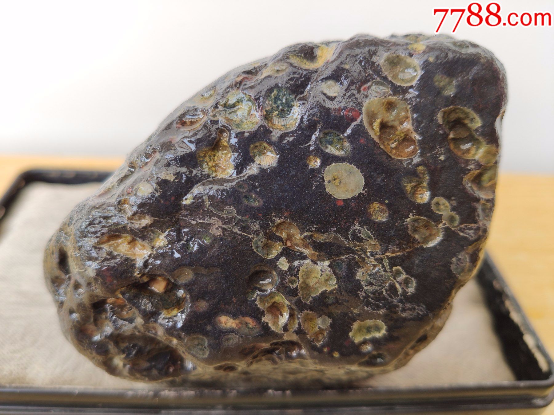 新进洛阳梅花玉原石1795自然包浆好磁性强