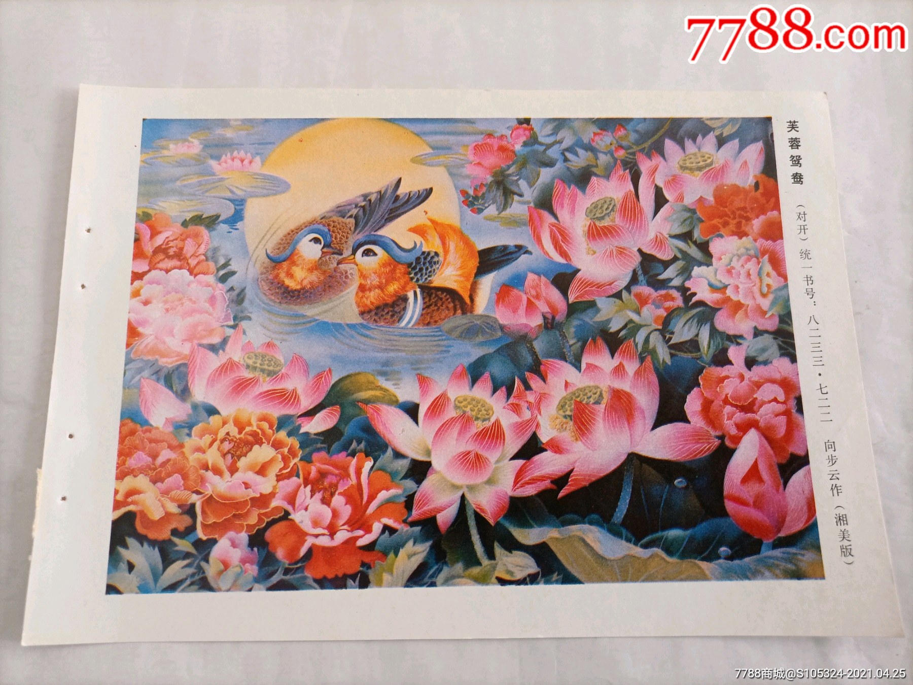 精美的年画缩样芙蓉鸳鸯请仔细阅图品严者慎拍