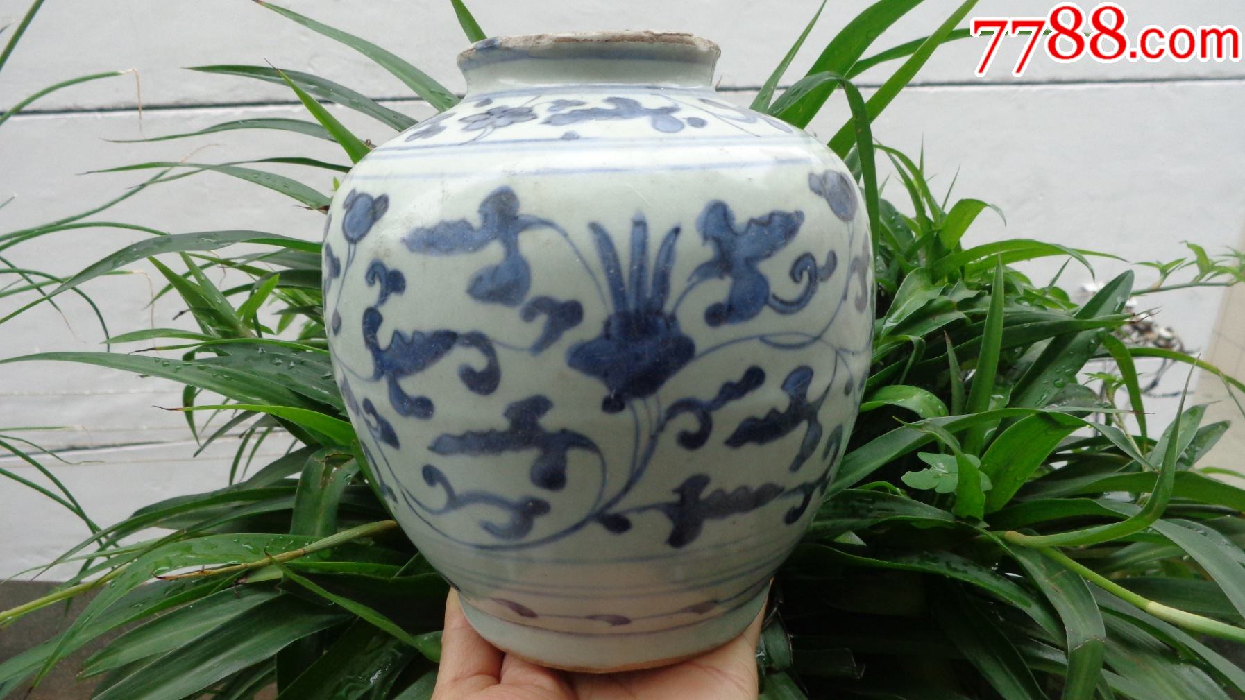 顺治青花大叶缠枝莲罐