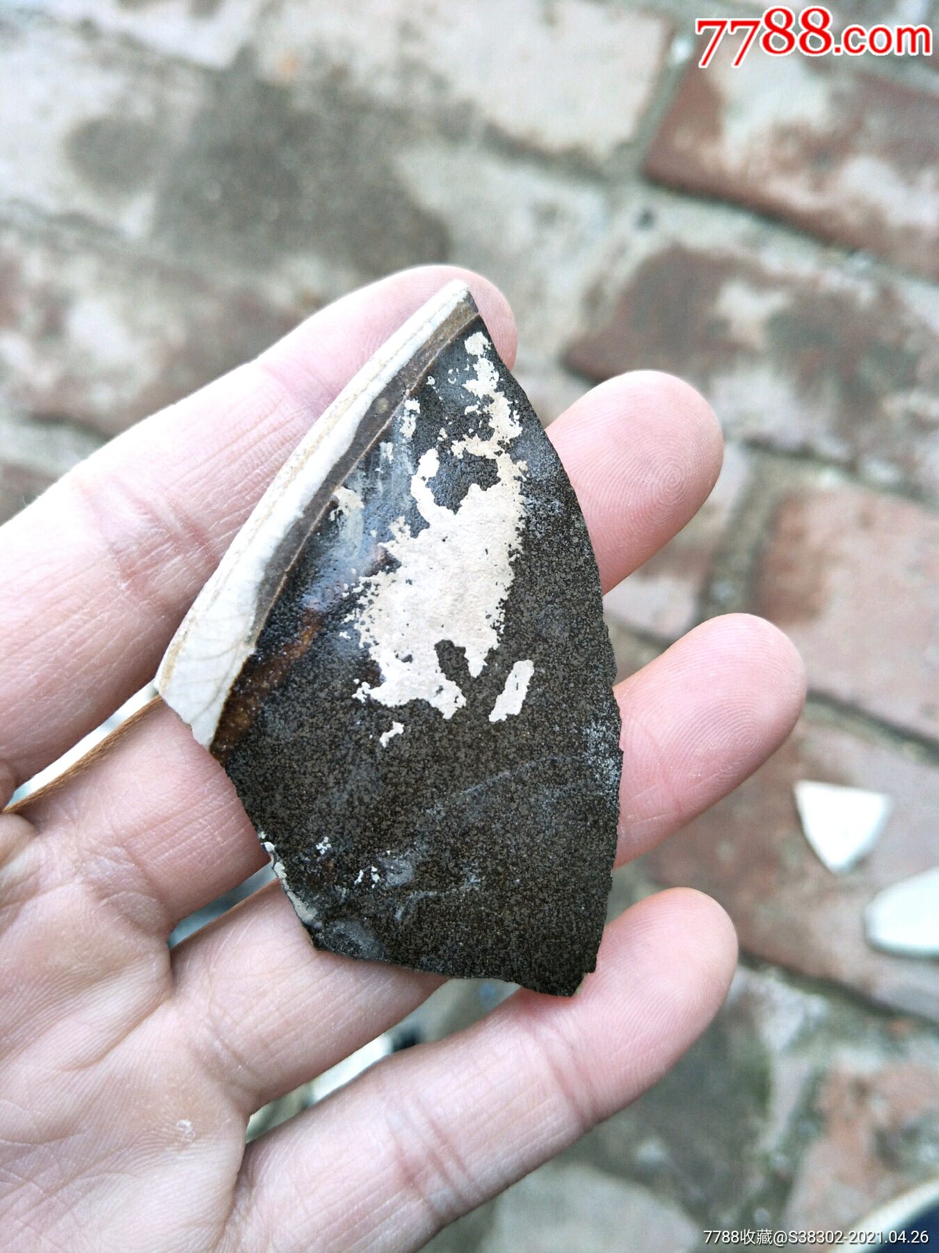 京杭大运河出品宋元缁素瓷瓷片残片一枚