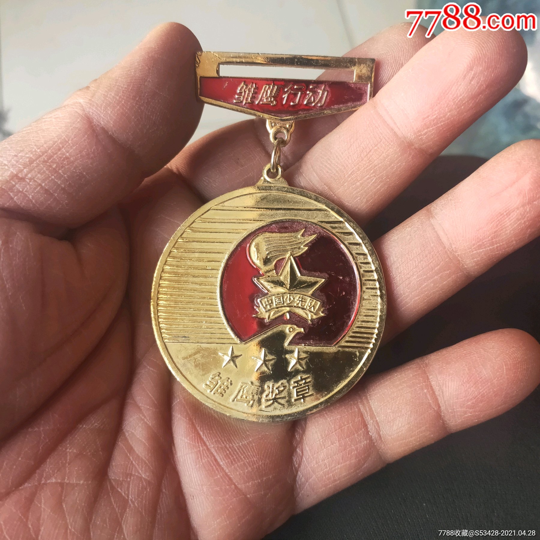 青海省少工委教育厅颁发雏鹰奖章