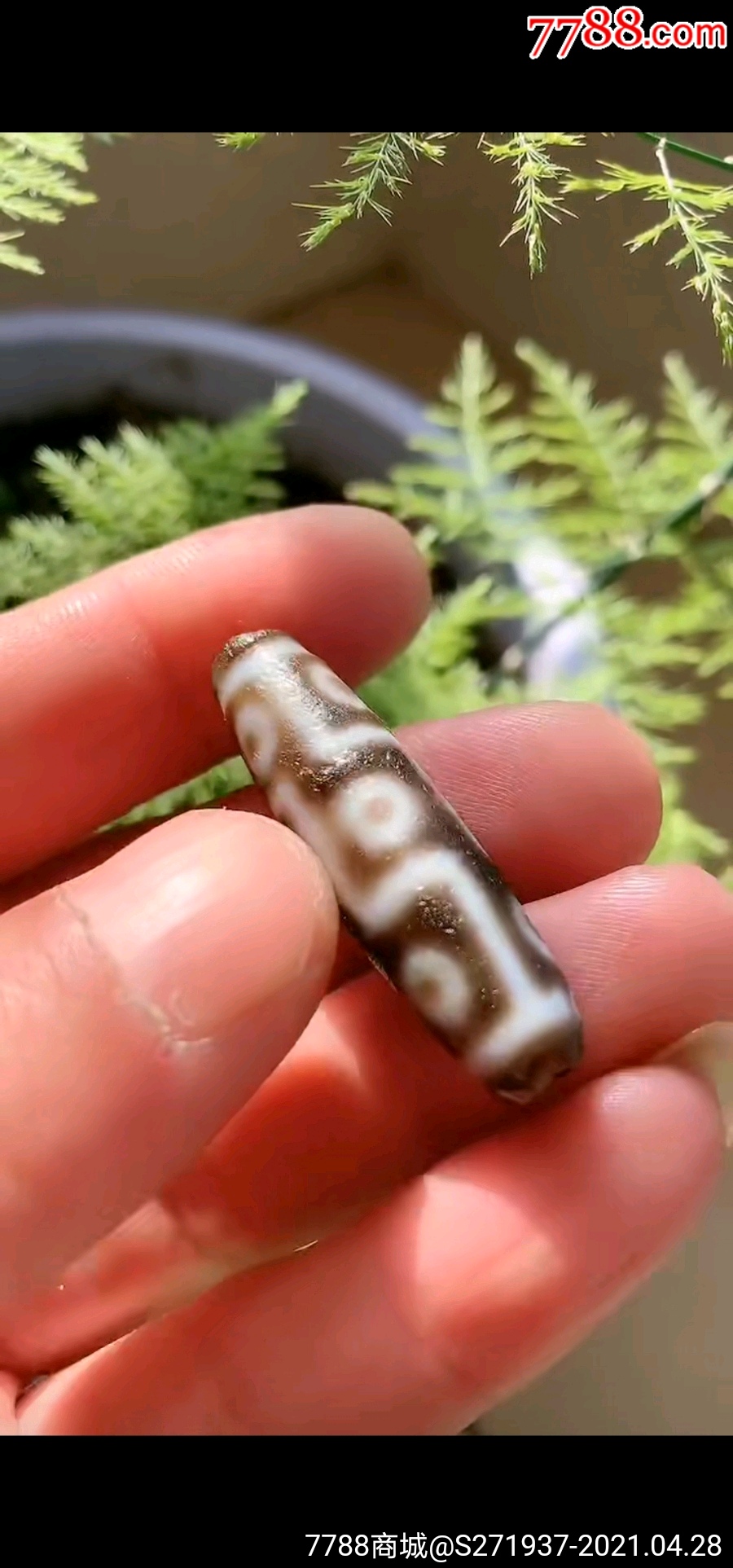 至臻至纯藏传千年爆老九眼老天珠