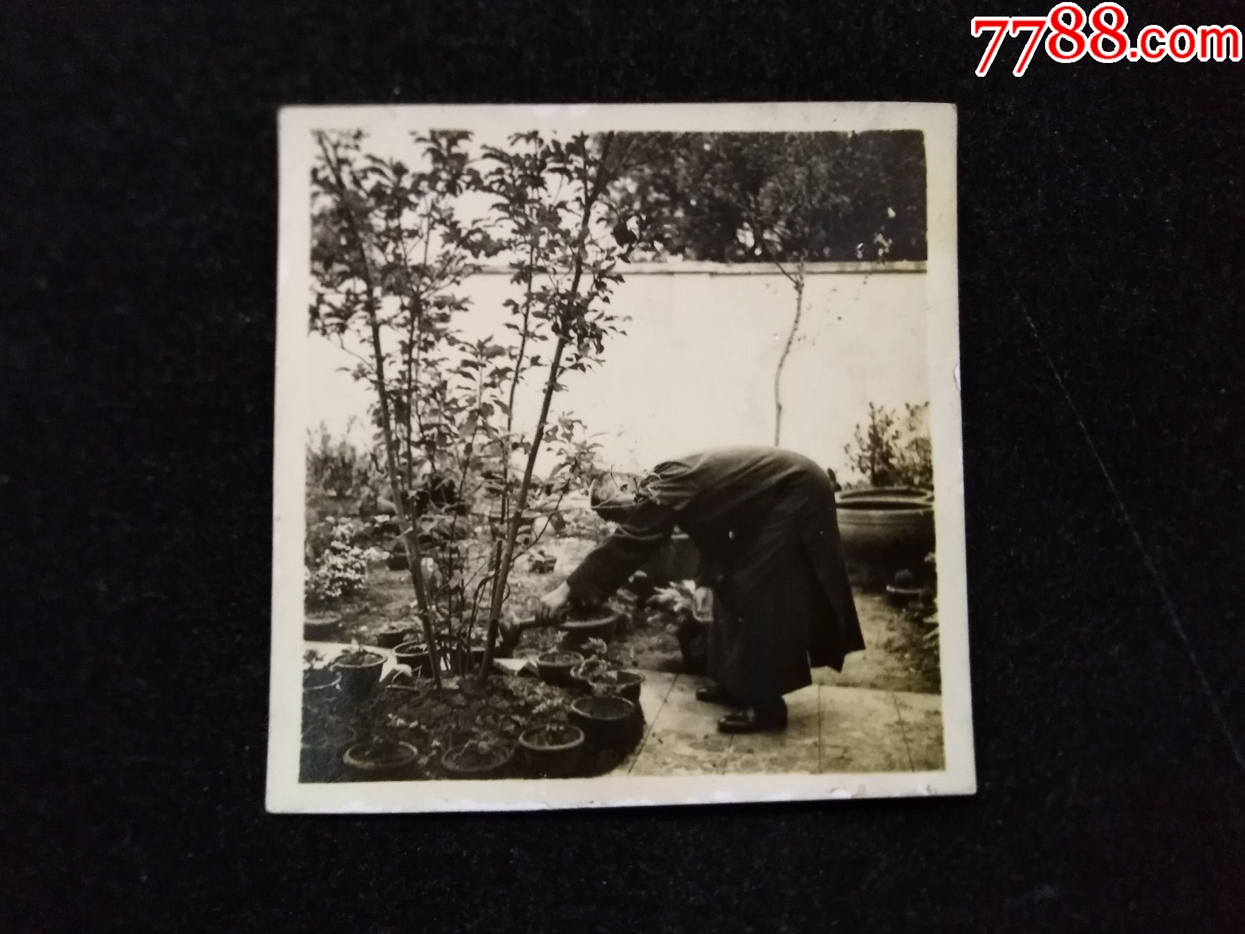 民国老照片庭院里侍弄花