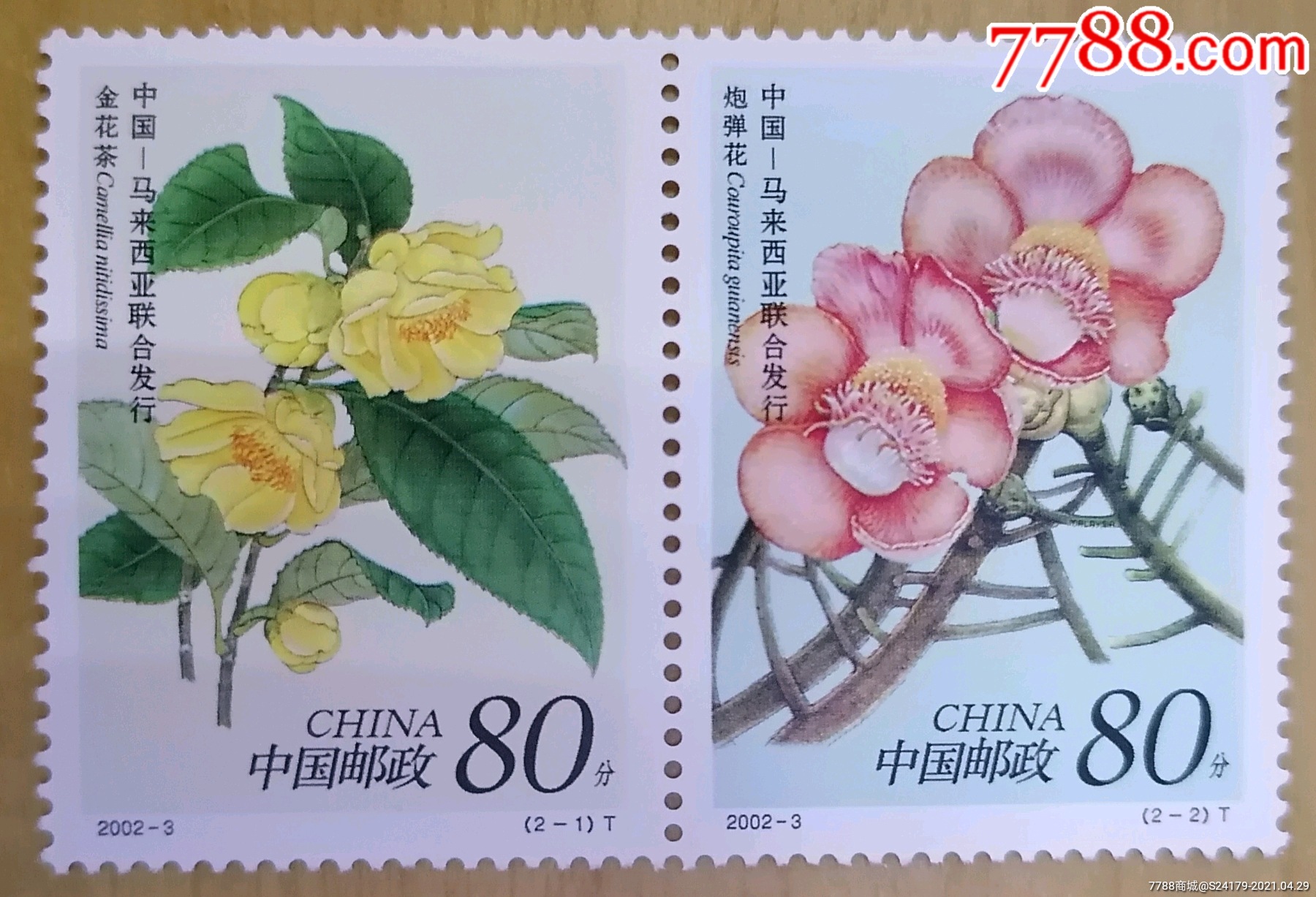 2002—3珍稀花卉套票-新中国邮票-7788邮票收藏