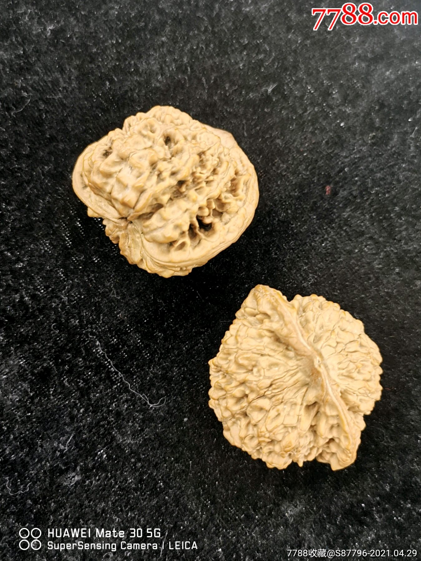 天然野生核桃一对