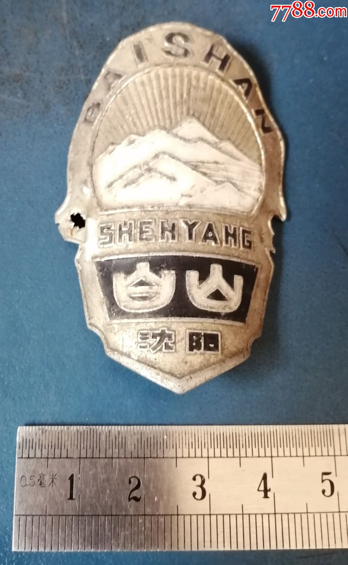 沈阳白山自行车牌