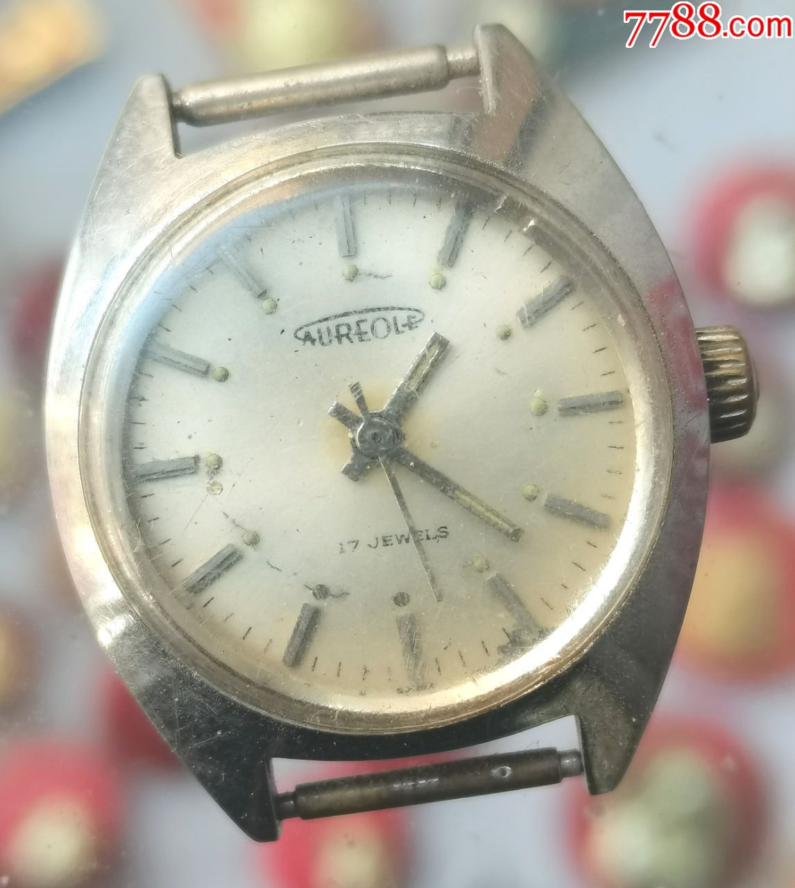 瑞士小表奥力科