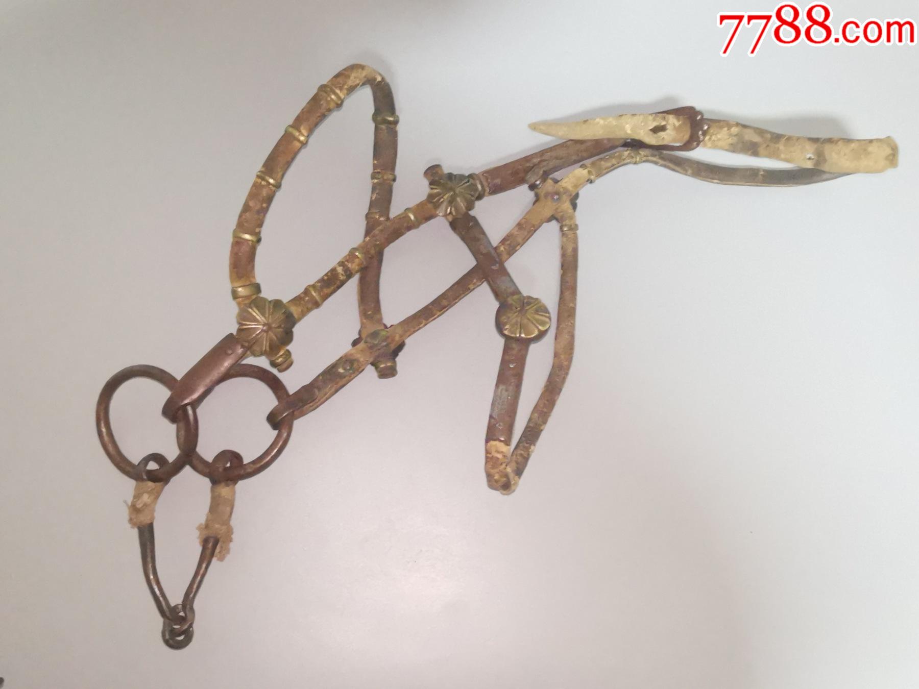 马具龙头带嚼子