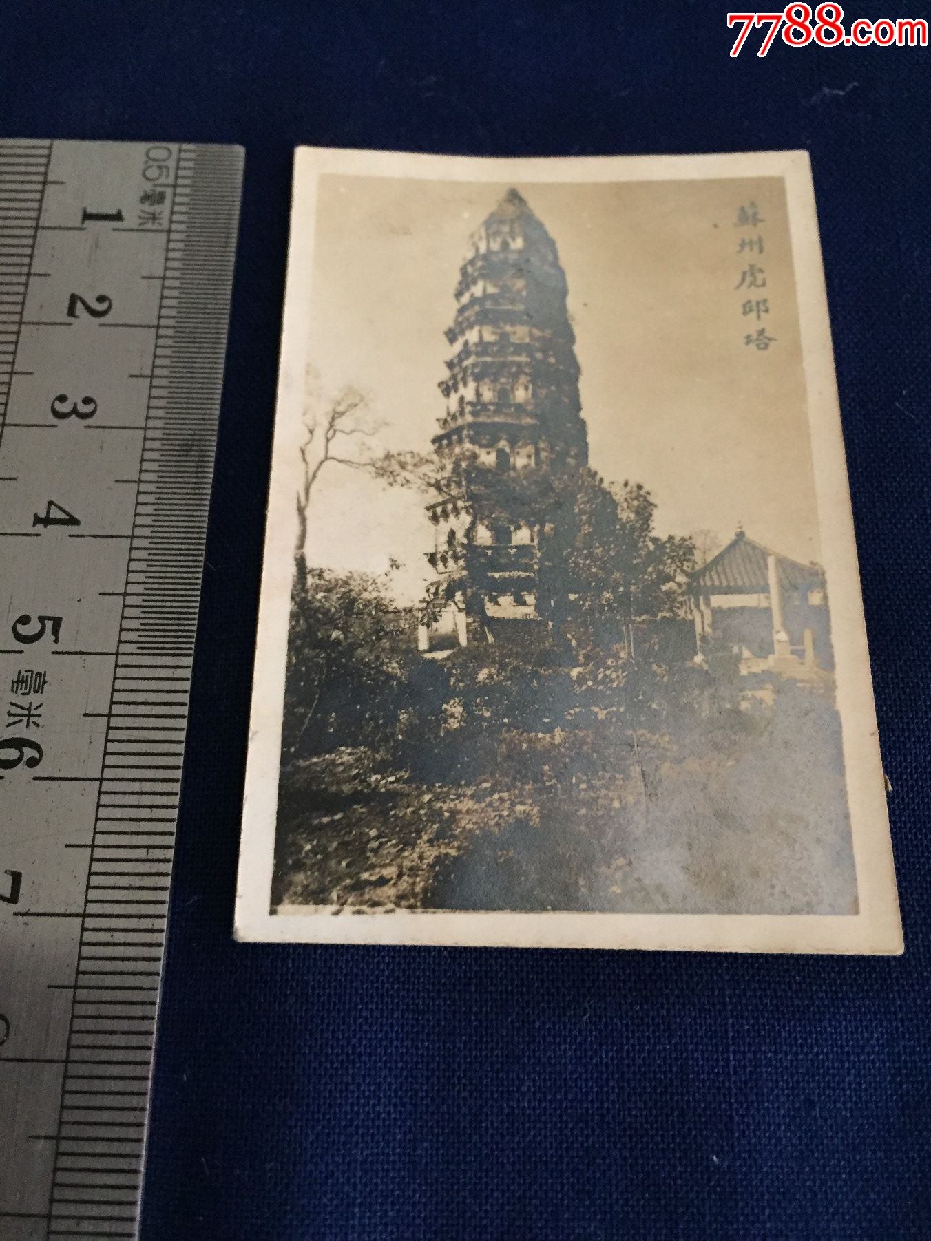 中华民国老相片原版照片苏州虎丘塔