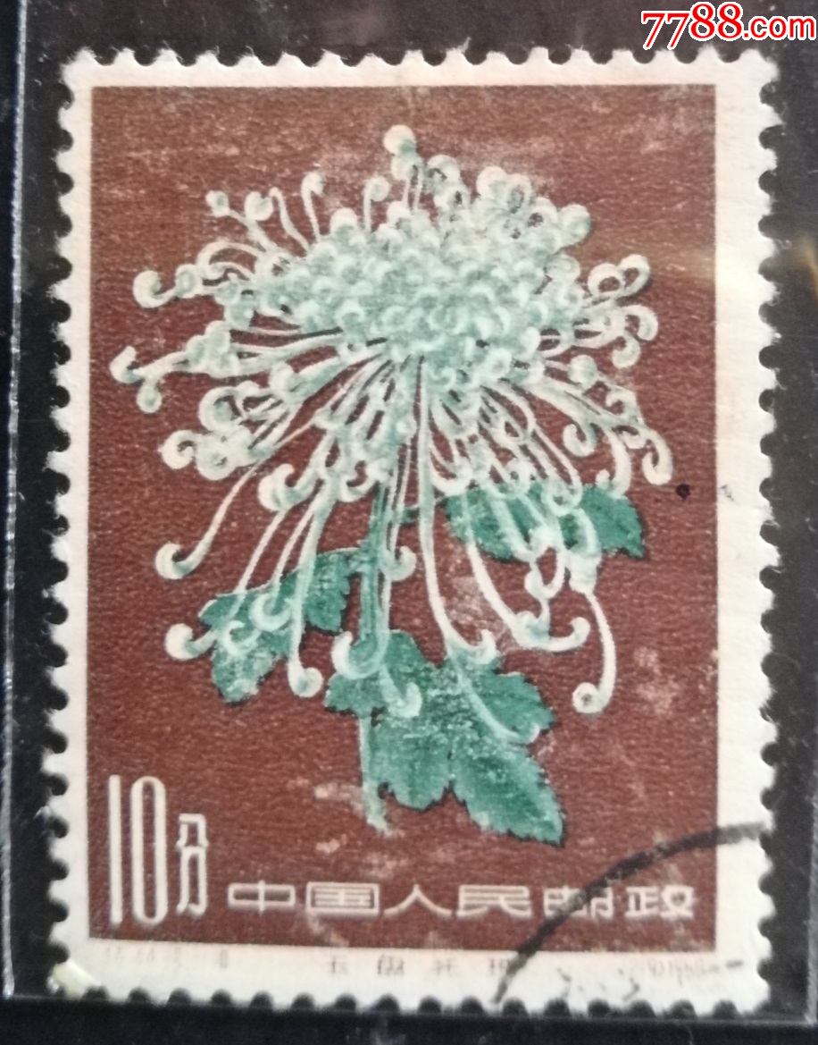中国邮票特441810菊花1960盖