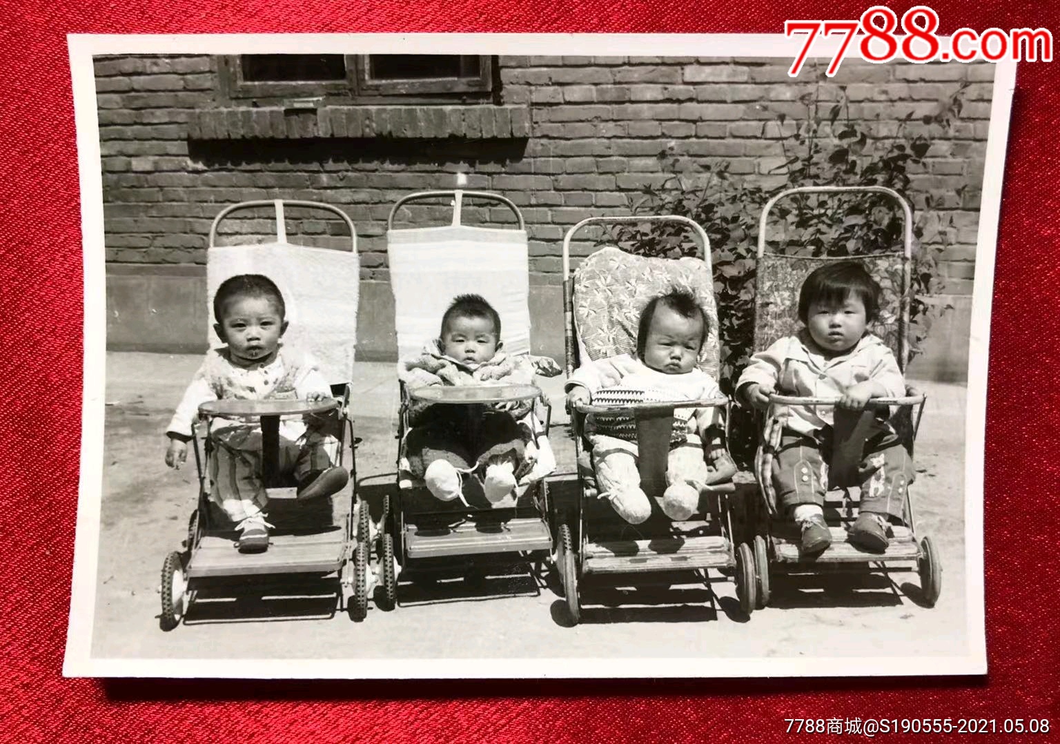 约60年代初4名可爱的小宝宝坐在婴儿椅上留影老照片