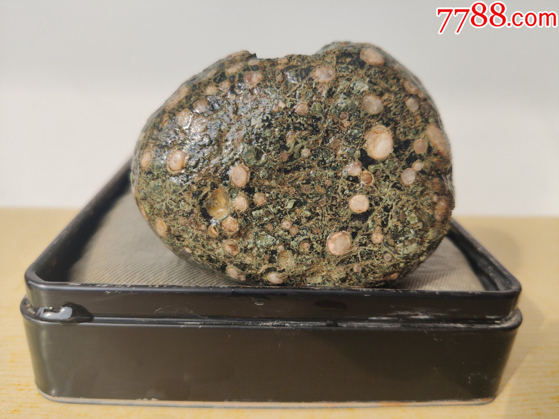 新进洛阳梅花玉原石1961西瓜翡翠藤缠丝包白玉图案太美了