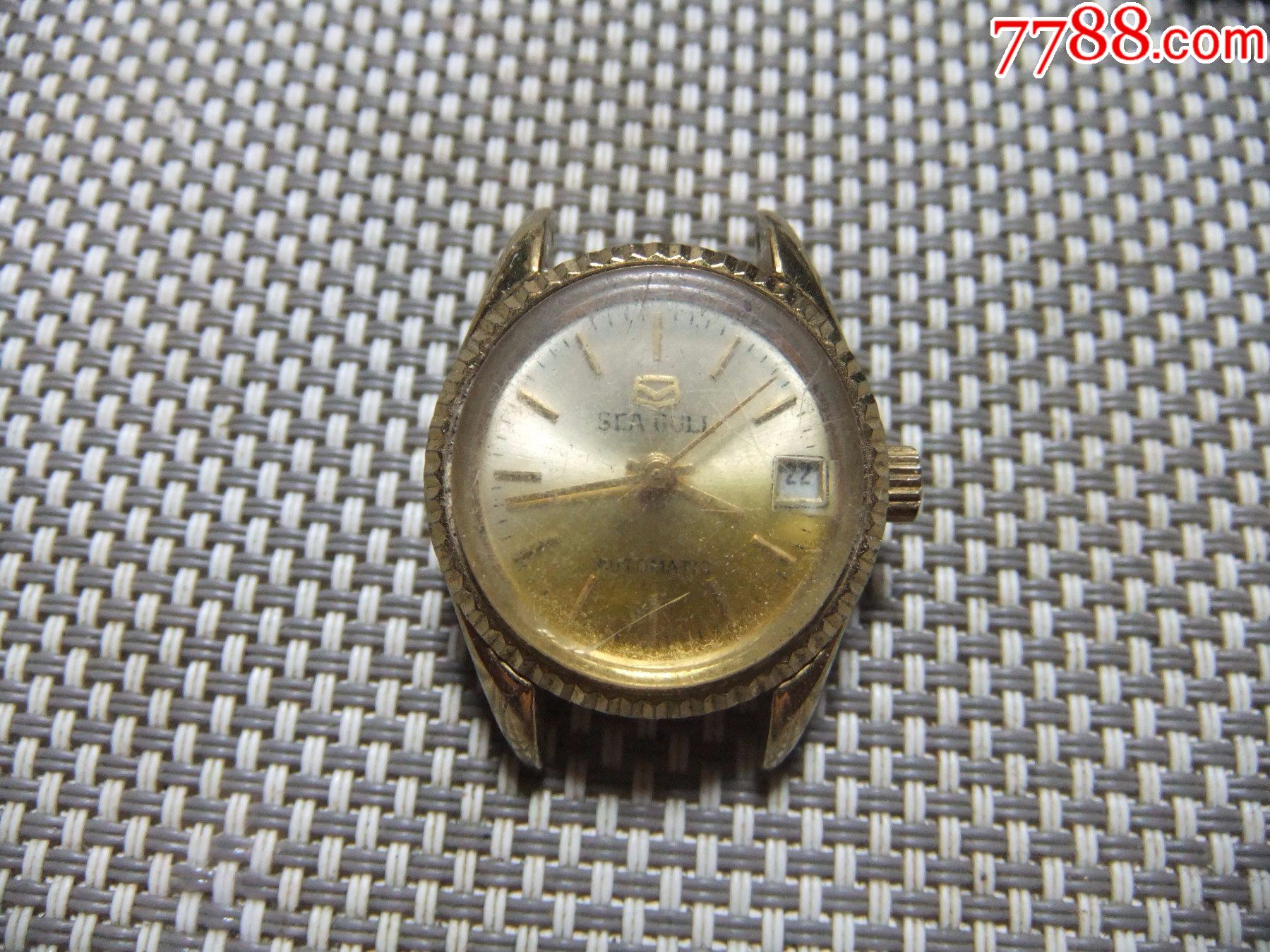 海鸥女表全自动老手表041374