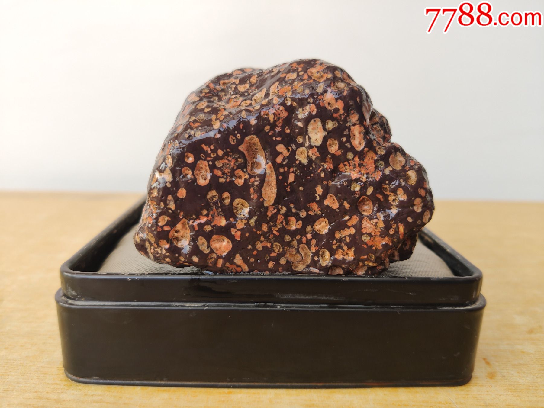 新进洛阳梅花石原石1969色彩非常鲜艳