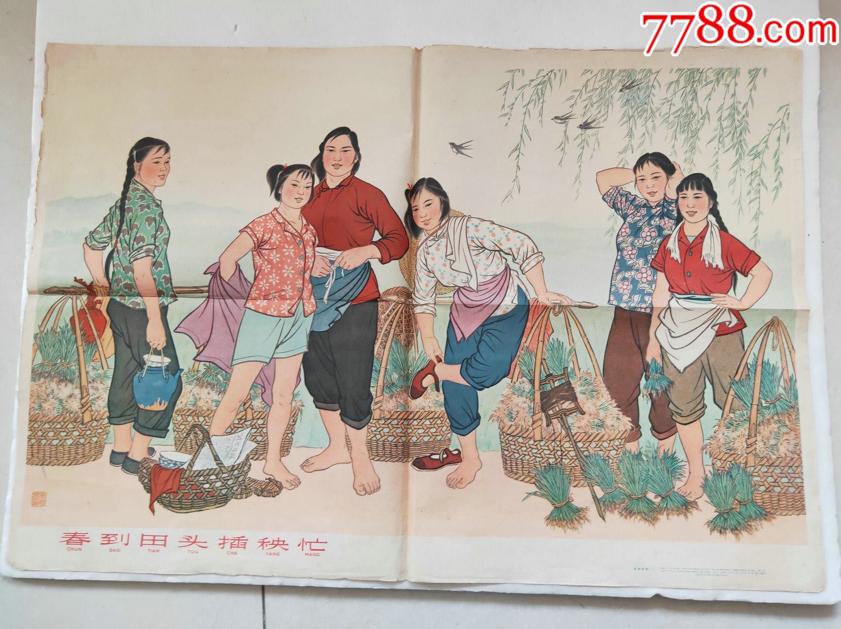 春到田头插秧忙特少见上美1964年