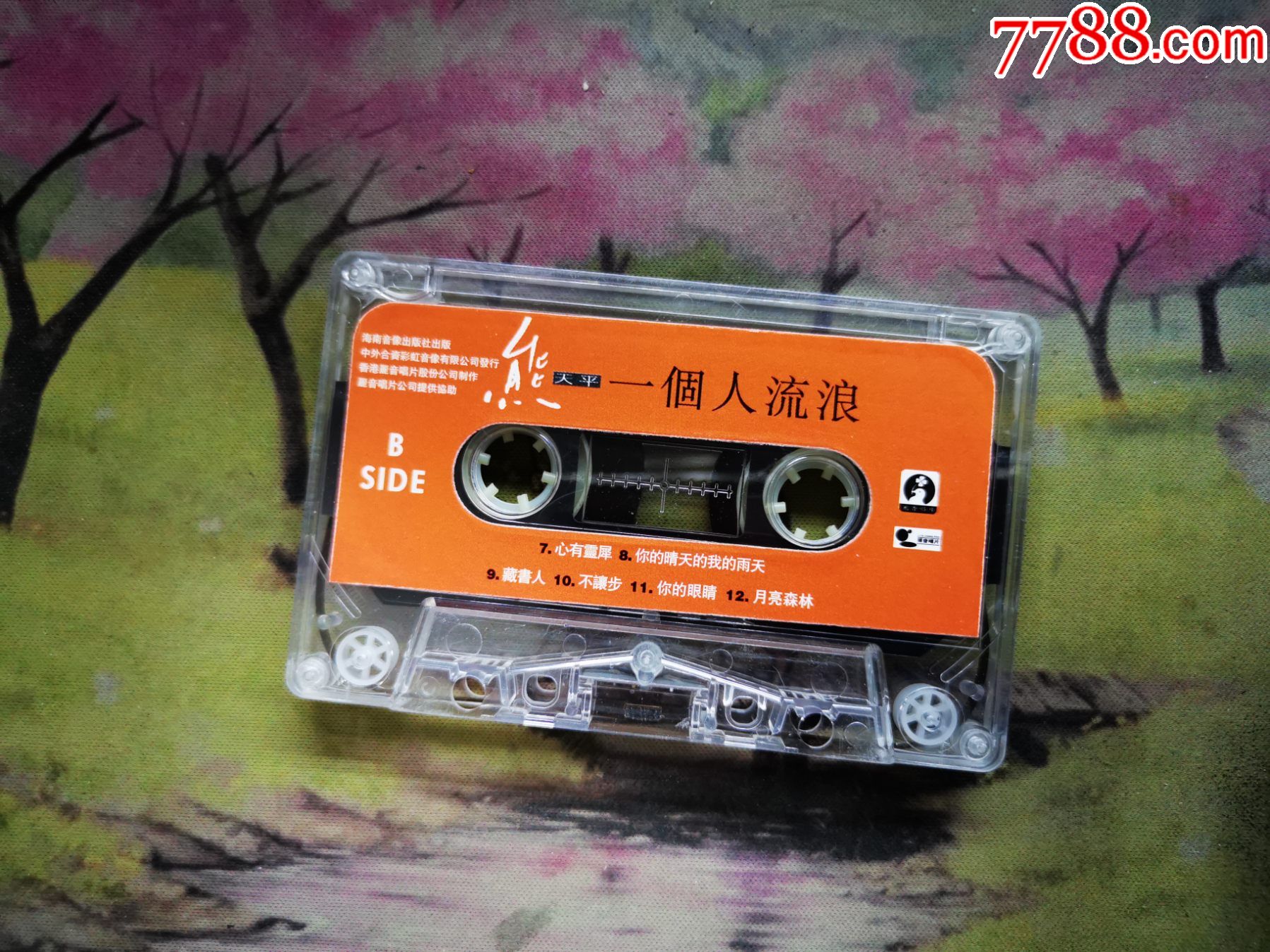 【熊天平】【一个人流浪【磁带】