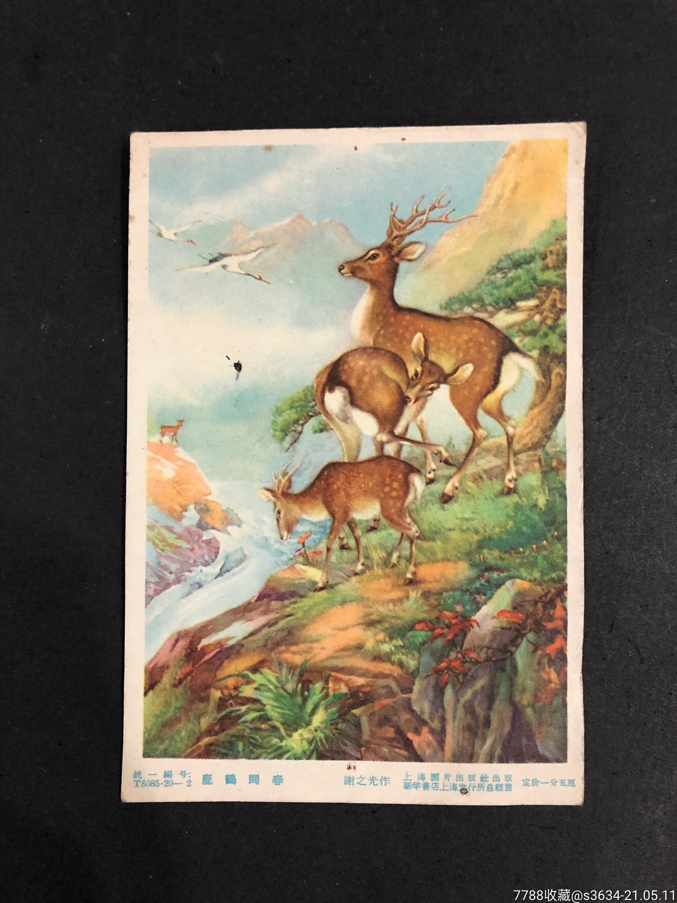 鹿鹤同春_年画缩样散页_明洪集藏【7788收藏__收藏热线】