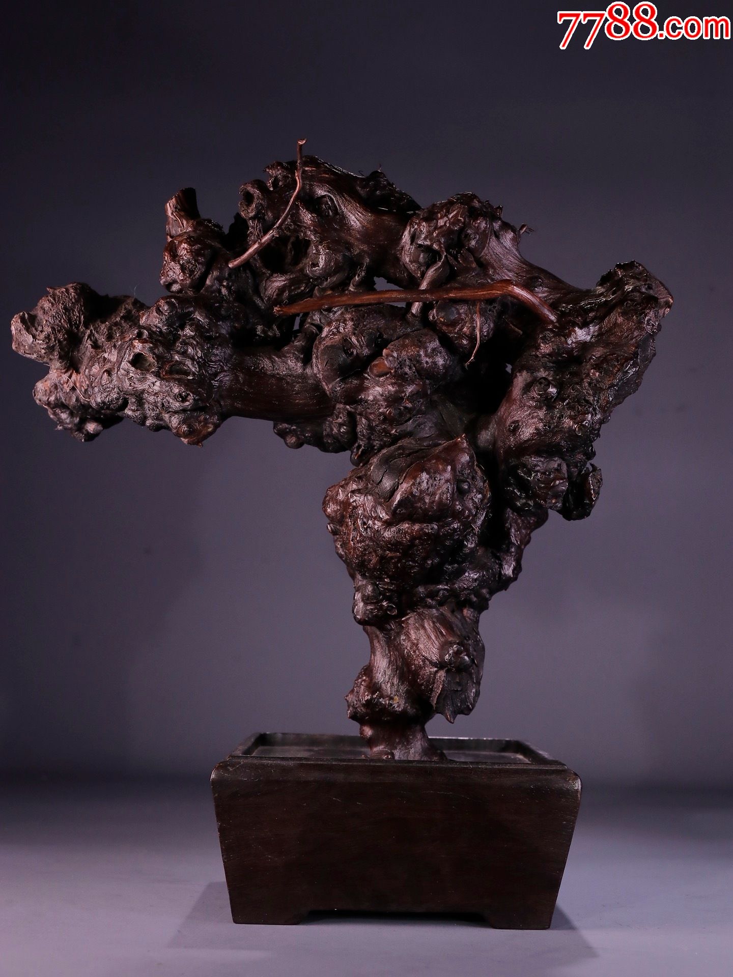 奇木山子随型树根摆件-木雕摆件-7788木艺