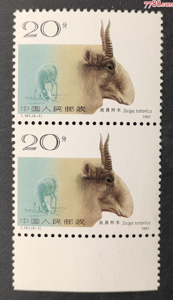 《t161野羊》带白边邮票双连_价格2元_第1张_7788收藏__收藏热线