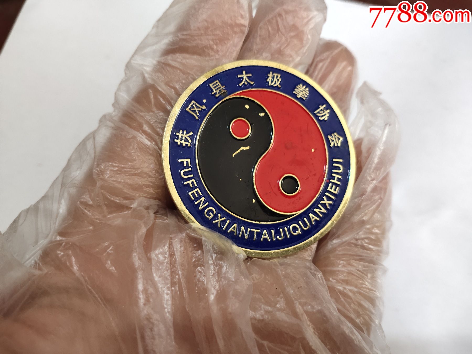 扶风县太极拳协会徽章