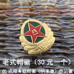 05式陆★纳米徽(老式正品)05软帽徽/作训徽(30元一个)_红色军迷【7788
