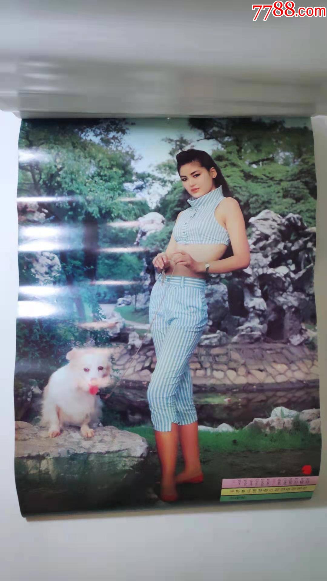 怀旧老挂历~1991年情趣美女摄影题材民俗怀旧挂历全,总第778号