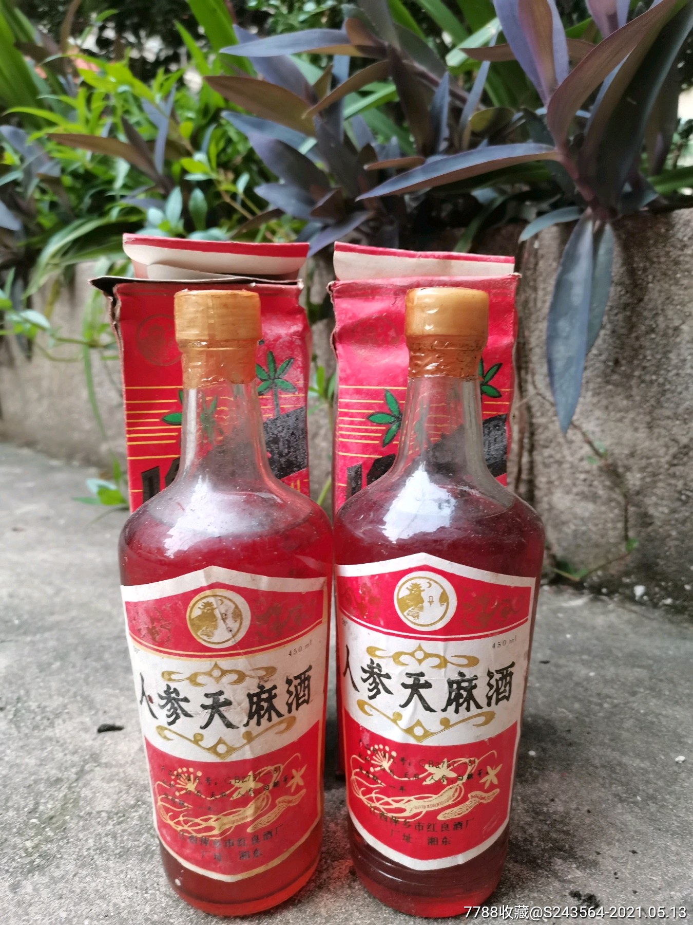 彝良天麻酒图片