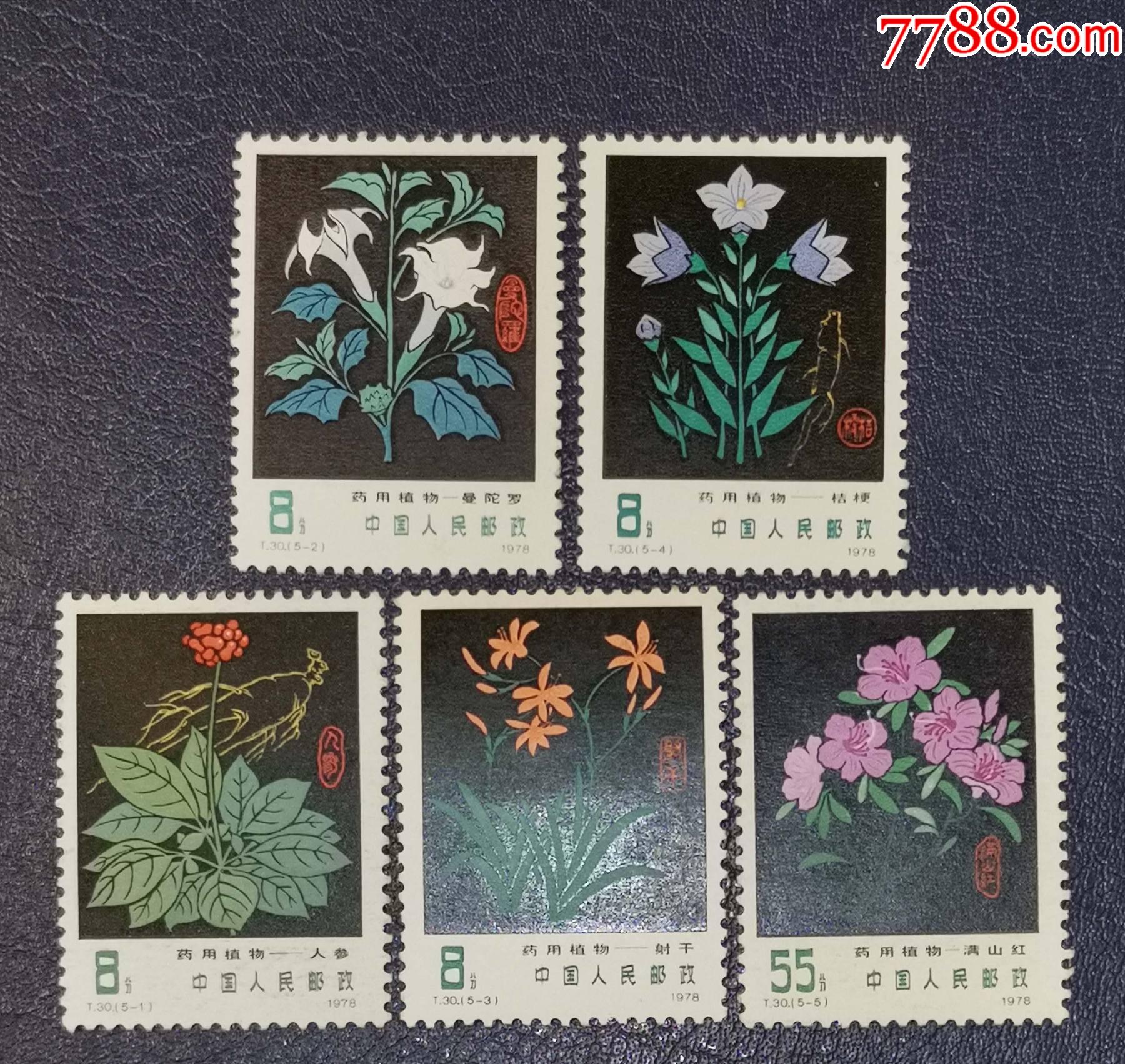 t30药用植物-新中国邮票-7788商城__七七八八商品交易平台(7788.com)