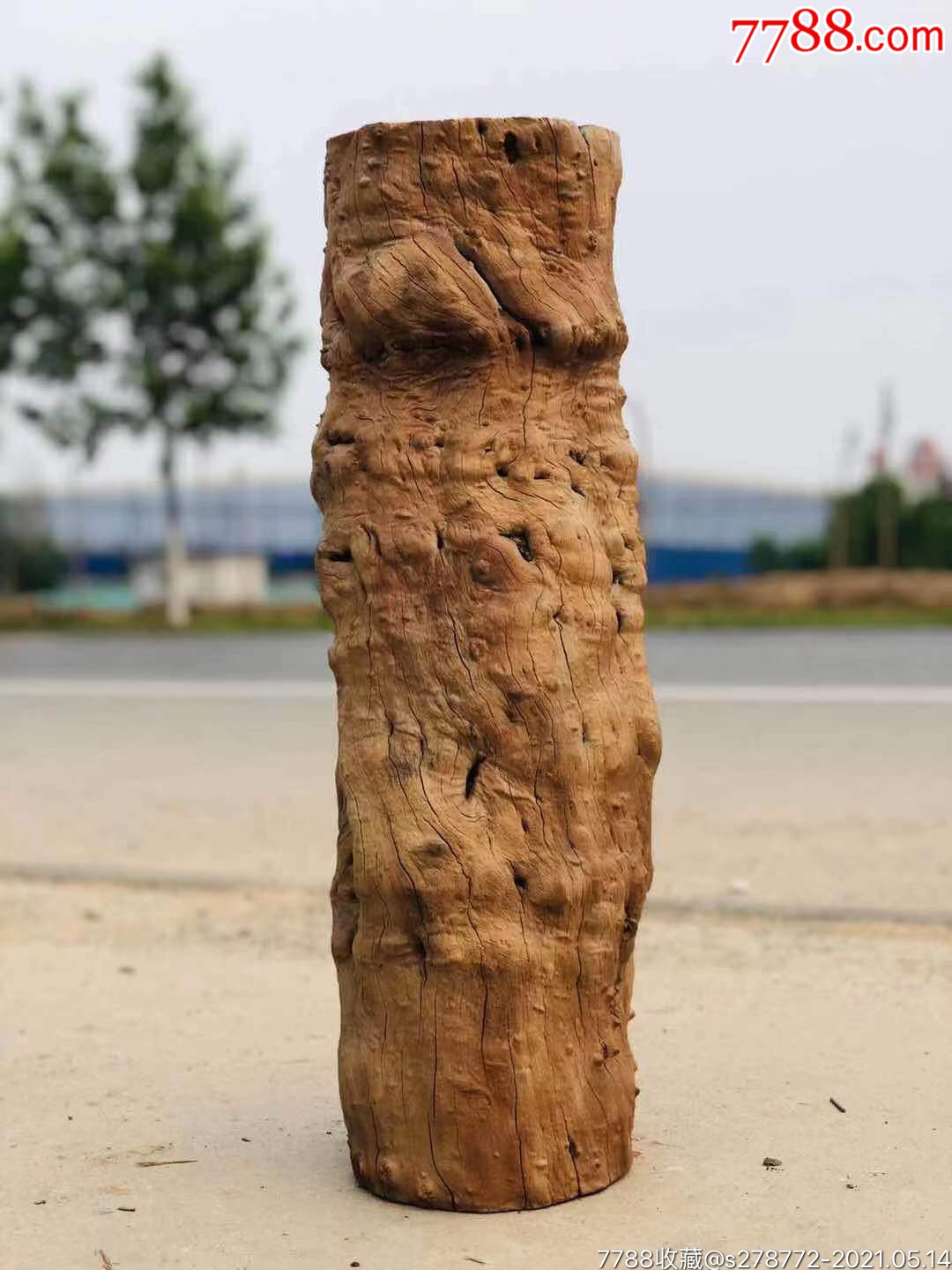 百年风化枣木柱2