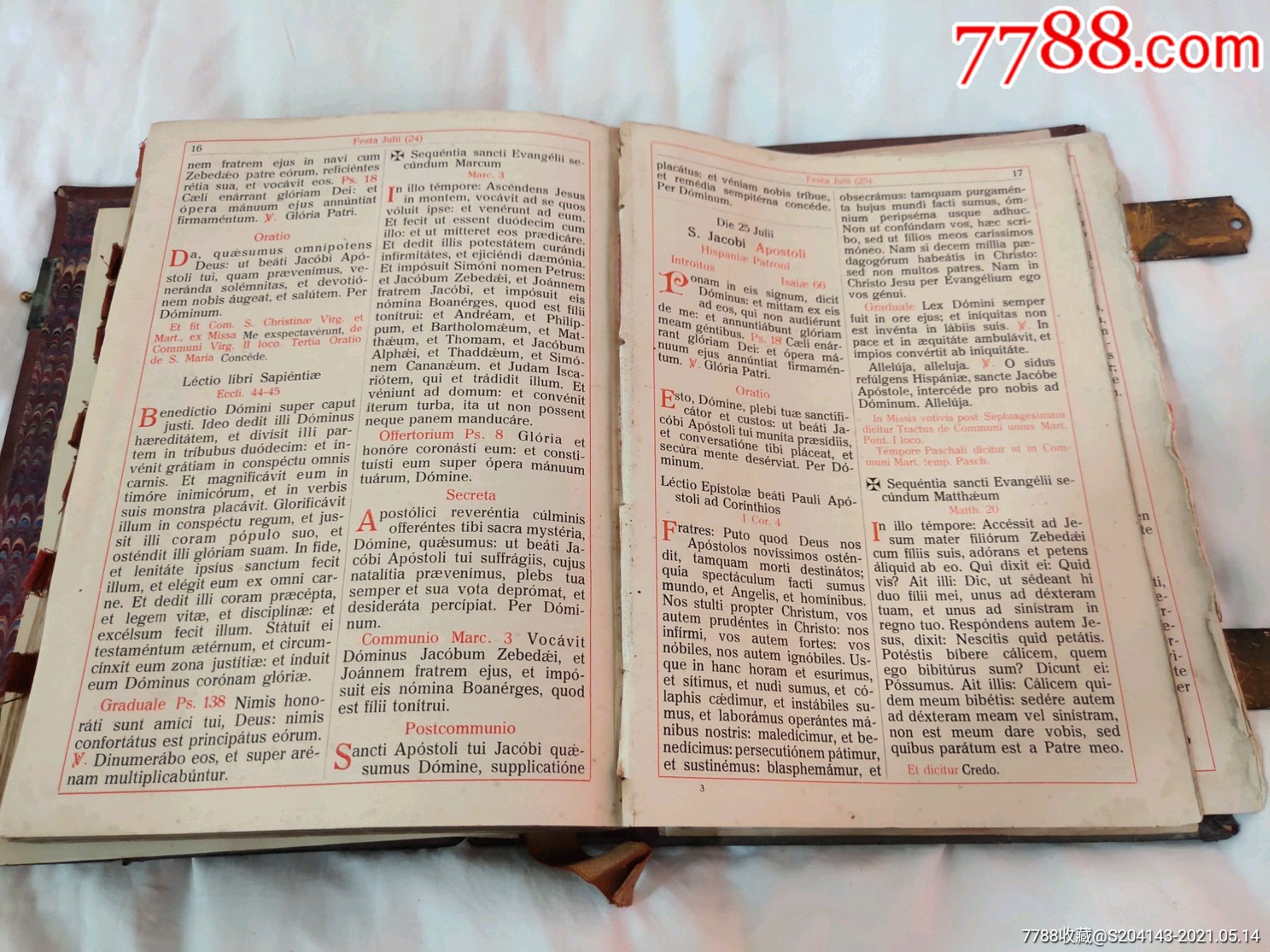 双色大字版圣经书皮图片