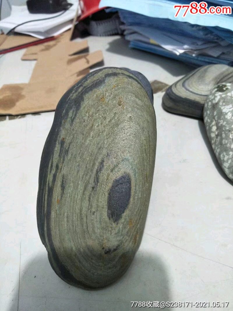 贝壳石_长江石_图片价格_收藏鉴定_7788钱币网