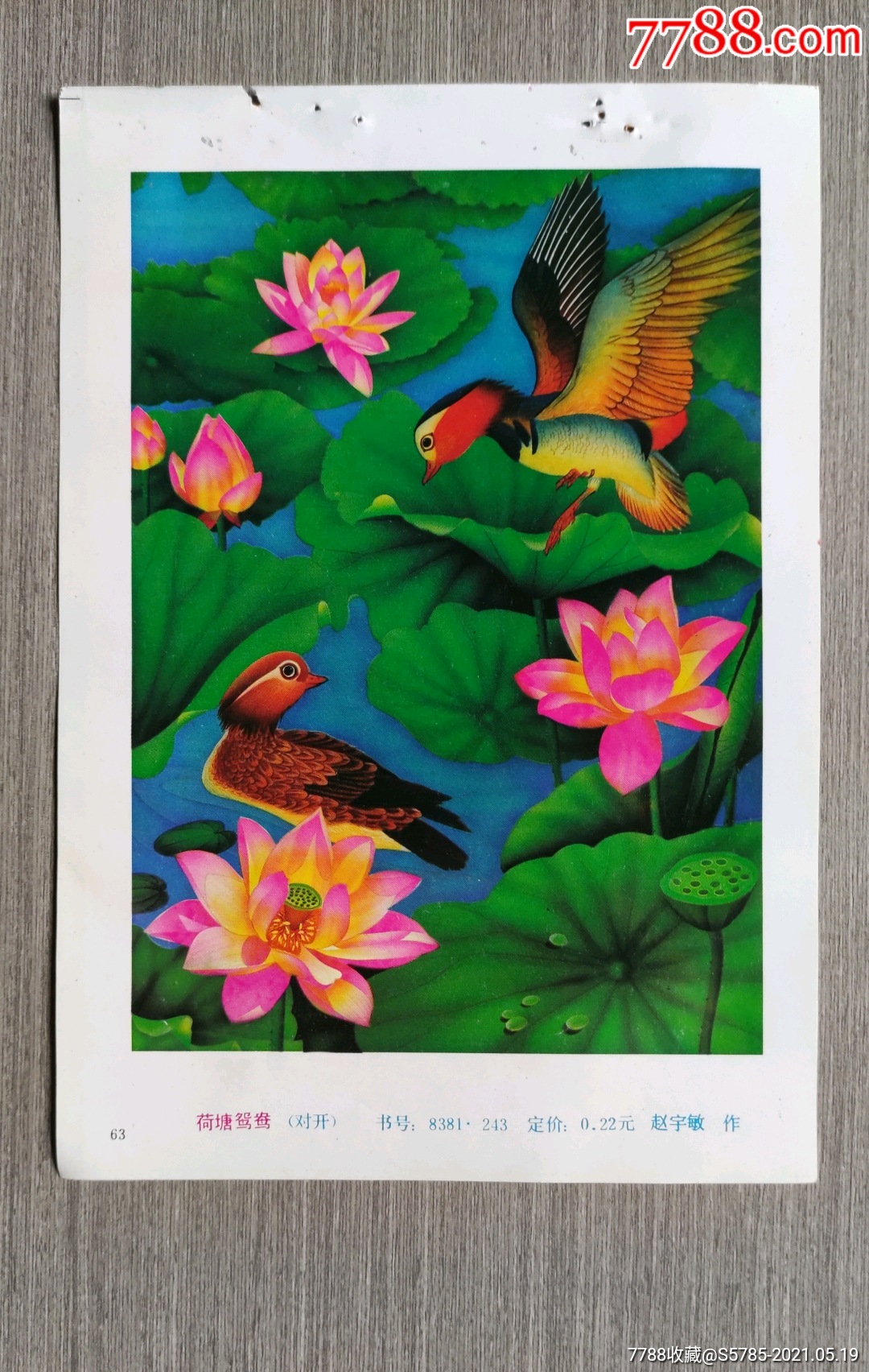 荷塘鸳鸯--赵宇敏作-年画缩样散页-7788商城__七七八八商品交易平台