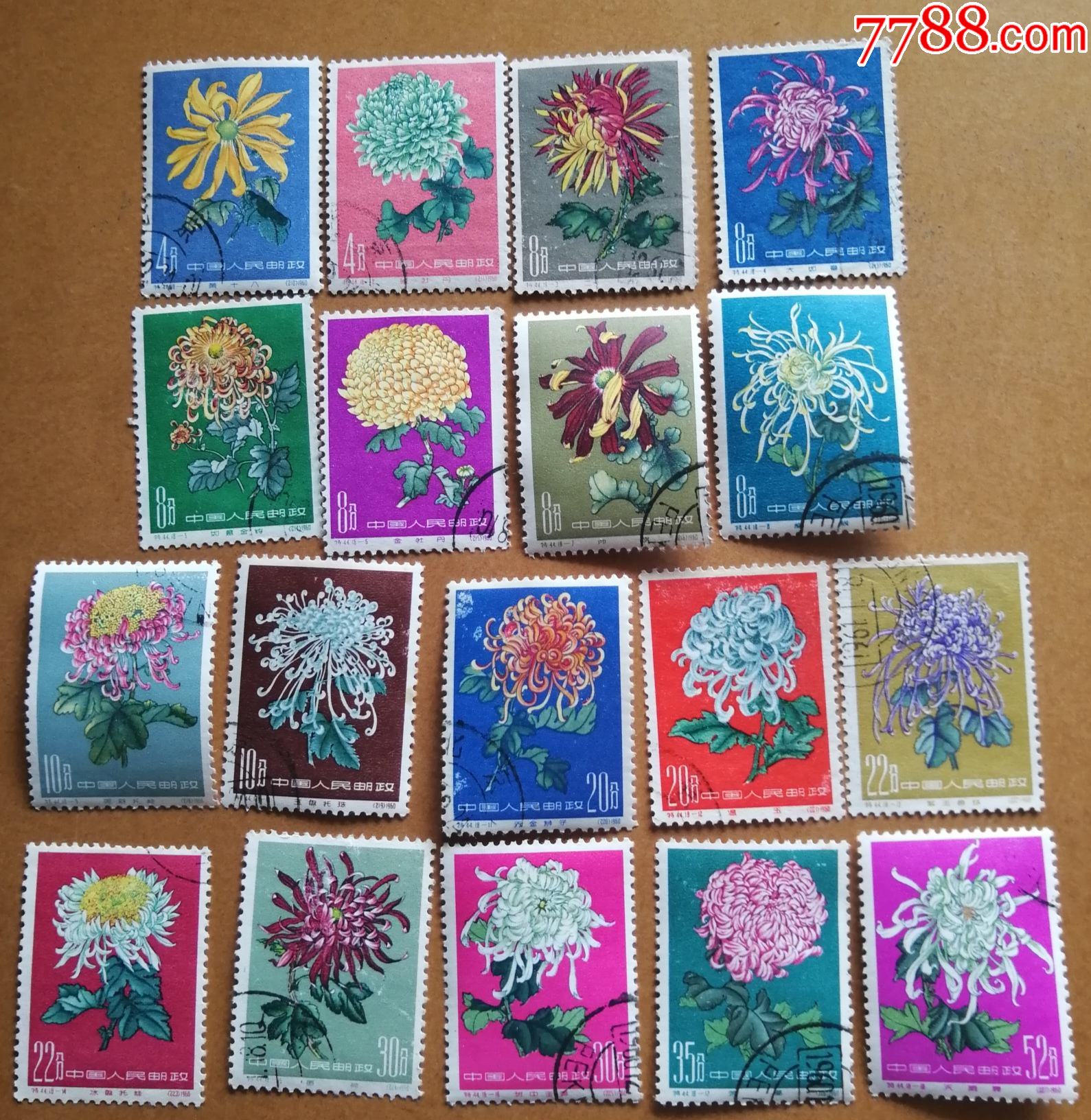 中国邮票特44菊花18全盖销套票1960