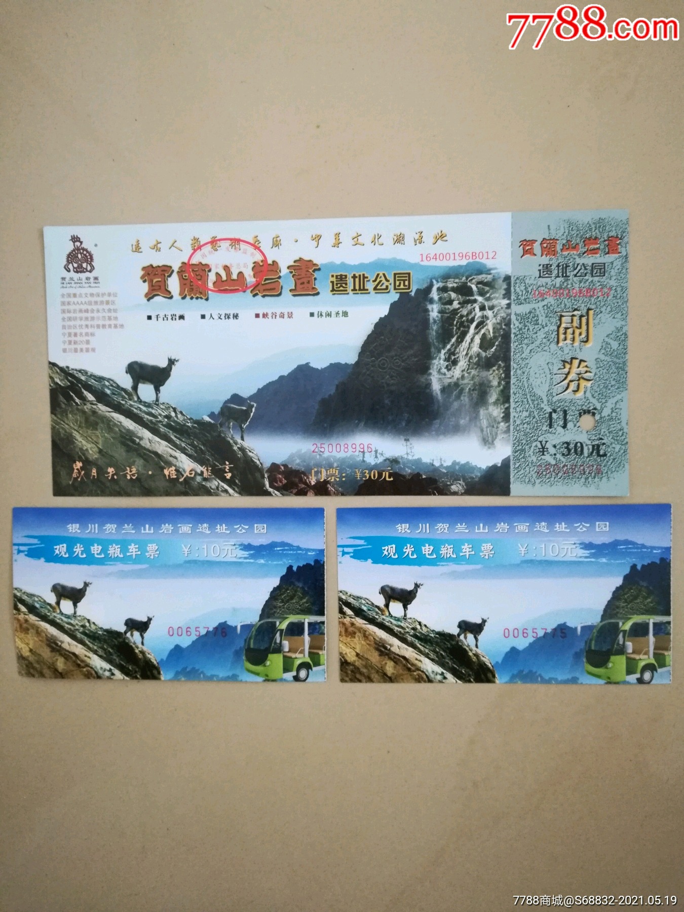 贺兰山岩画门票电瓶车票