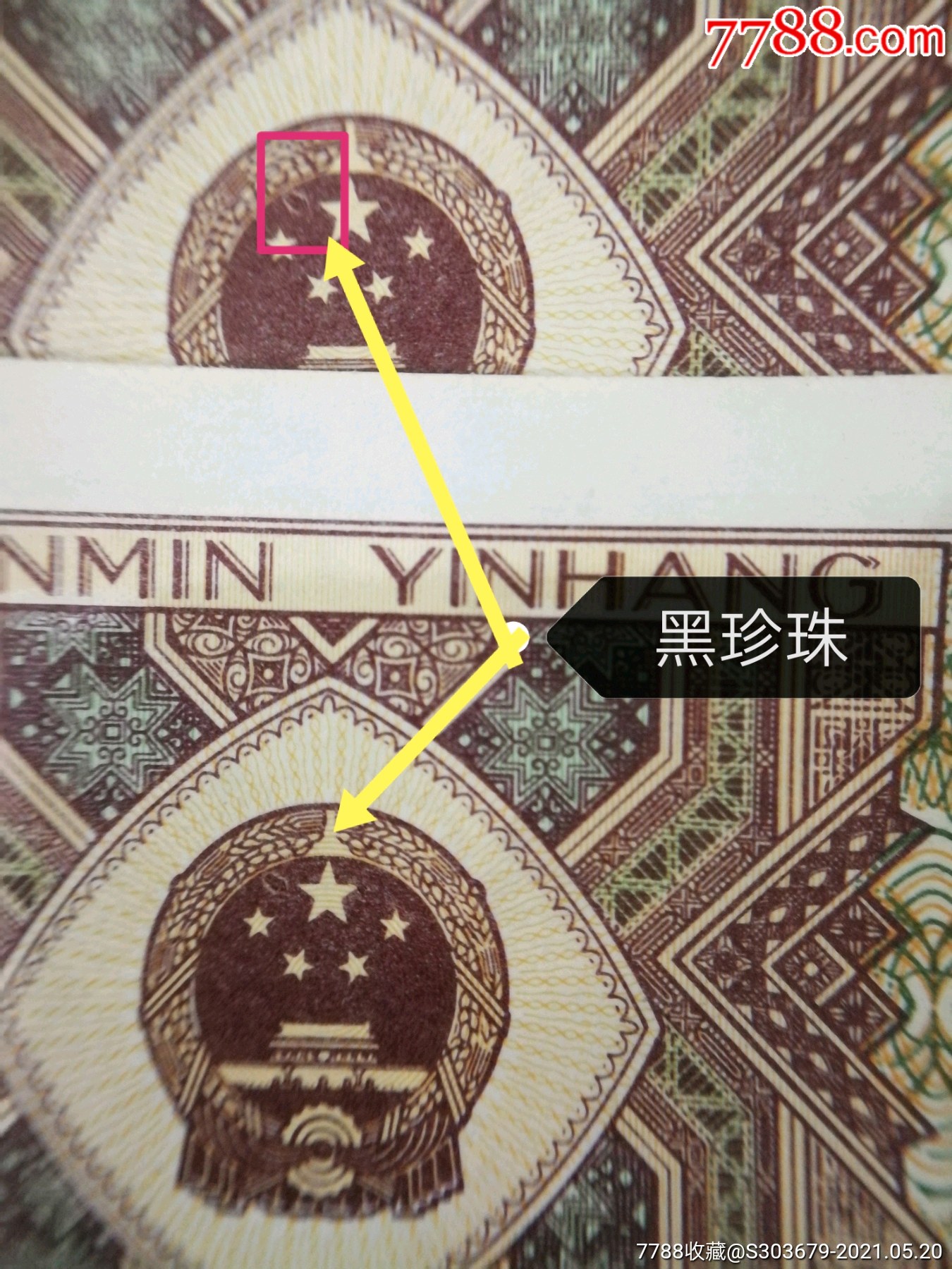 8001ey,背红,黑珍珠,2连